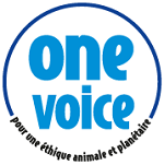 one-voice-bleu