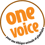 one-voice-orange
