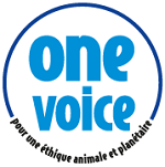 One Voice